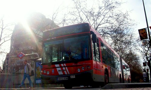 bus