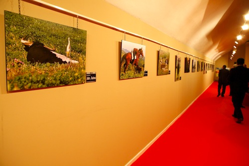 ConsejerÃa de Transportes COMUNIDAD DE MADRID