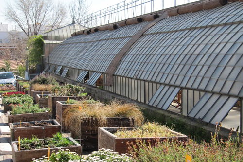 vivero