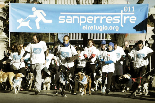 san perrestre 2011