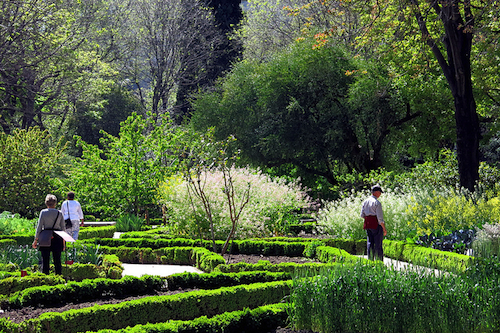 botanico