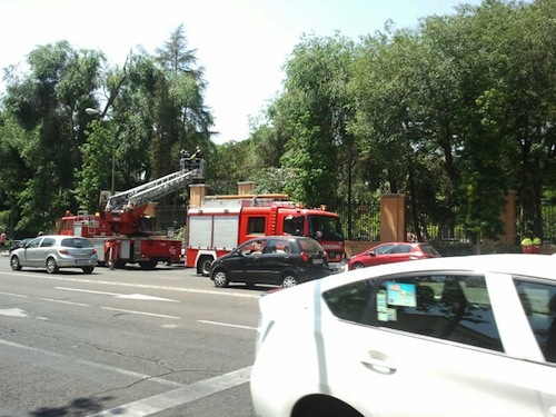 Tras retiras las ramas, los bomberos limpiaron la zona - A. Molla (Zonaretiro.com)