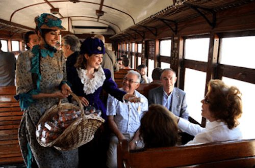 tren-fresa-1