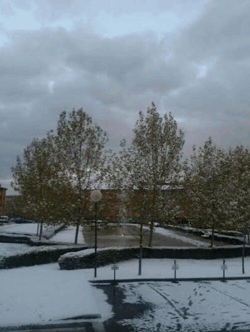 Nieve en Pozuelo - F. Larrea