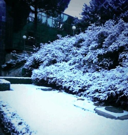 Nieve en Trescantos - L. Torres