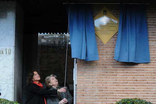 Botella y la viuda de Mingote, Isabel Vigiola - Ayto