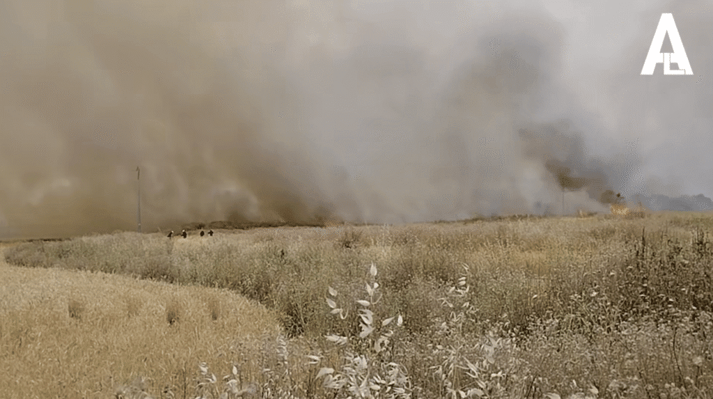 ÚLTIMA HORA Incendio de pasto junto a Parquesur en Leganés