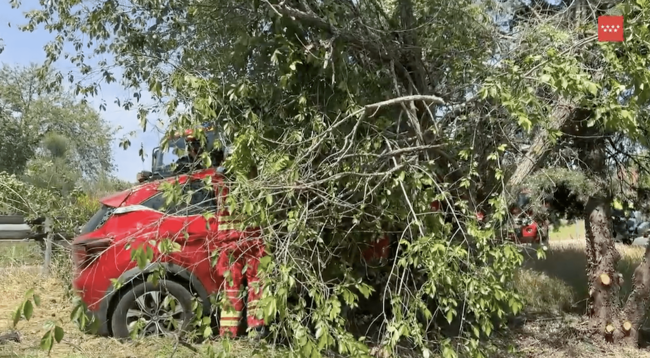 Grave una mujer herida en la M-508 en Pozuelo de Alarcón al cochar su coche contra un árbol